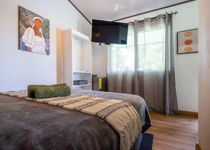 Budda Home